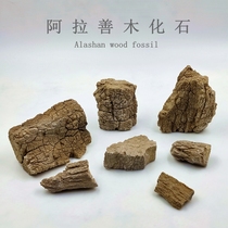 Arashan Desert Wood Fossil Natural Silicalized Wood Sapien Jade Raw Stone Ornamental Chishi Pendulum Specimen Kop Teaching