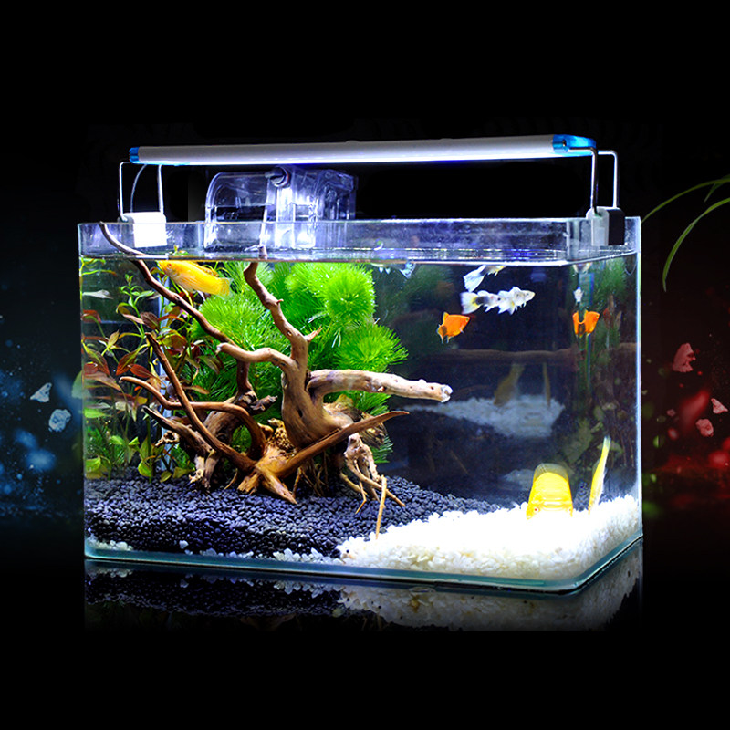 水木清华 真水草小型玻璃鱼缸水族箱客厅家用桌面生态迷你金鱼缸_不