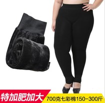 Autumn and winter plus fat plus size leggings 300 Jin 200 plus velvet trousers thick stepping foot special size one warm pants