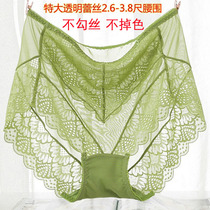 European and American high waist plus size underwear 300kg fat MM sexy mesh shorts lace embroidery womens triangle underwear head