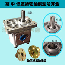 Hydraulic pumping station oil pump CBN-F(E)304 06 10 14 16 20 25 High pressure gear oil pump