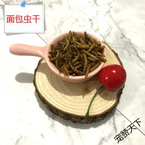 Squirrel flower branch rat groundhog hamster honey bag flying squirrel snack food grain bread worm dry yellow mealworm dry