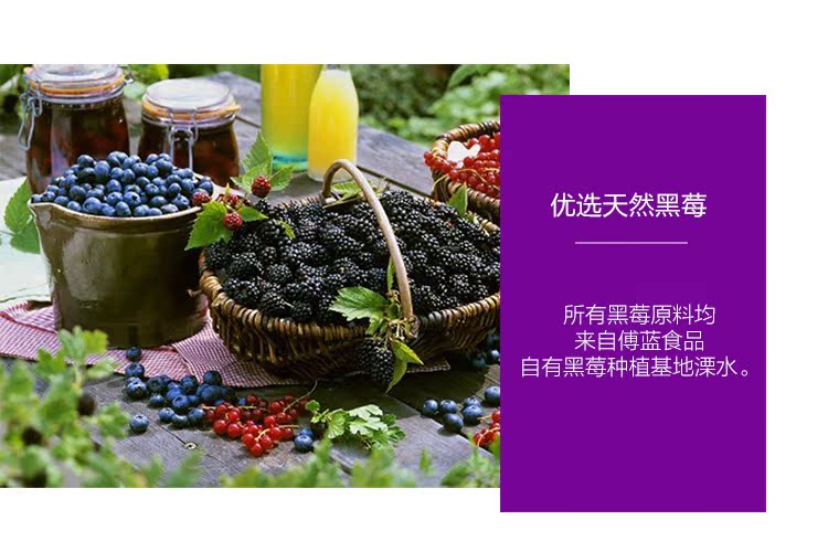 百汇园黑莓果肉果汁黑莓果汁饮料245ml*24瓶包邮黑莓汁饮料果蔬汁_7折