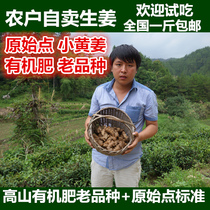 Dabie Mountain ginger fresh ginger original point old ginger small soil ginger moon ginger ginger