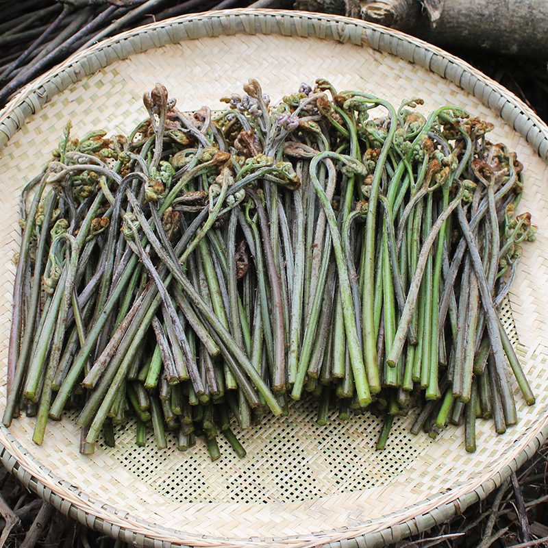 重庆新鲜野生蕨菜现摘现发农家野菜有机蔬菜4斤