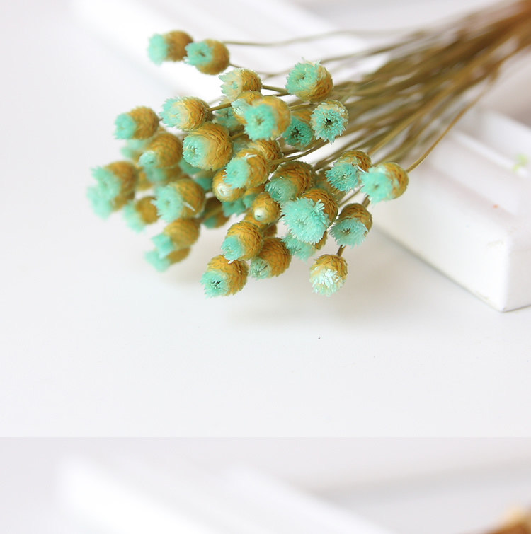 巴西快乐花 永生花礼盒配花花材 干花 家居插花 拍照道具