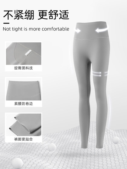 뚱뚱 뚱뚱