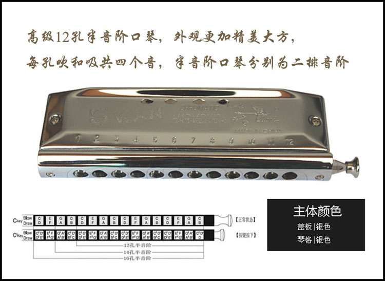 天鹅口琴12孔48音 sw1248-6演奏半音阶口琴c调 圆吹口