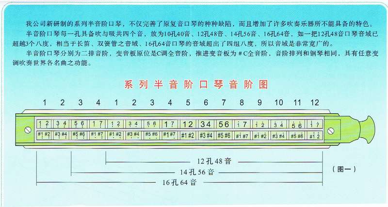 新款包邮 天鹅sw1248-7天鹅半音阶口琴12孔48音加厚坐板 圆吹口