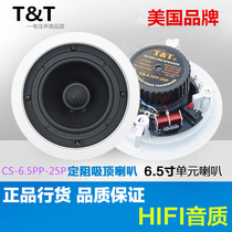 American TT double frequency block coaxial high power 6 5 inch ceiling horn ceiling horn background music