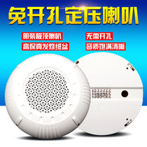 KESON background music non-opening high fidelity waterproof ceiling horn shop open fixed pressure top speaker