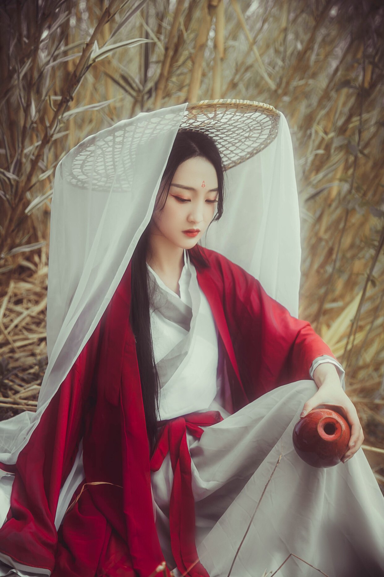 红颜传统汉服女魏晋风交领齐腰襦裙大袖衫套装清新淡雅侠客古风