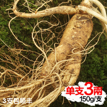 Single-branch 3 Two Shunfeng Northeast Changbai Mountain with native fresh ginseng garden for single branch 150 gr large ginseng