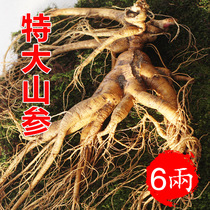 Ginseng Boutique 26 years of ginseng Fresh ginseng Fresh wild Mountain ginseng Ginseng Single Branch (6 2 - -1 kilos) Bubbly Wine
