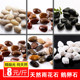 New garden supplies pebble natural original stone fish tank decorative hydroponic stone stone home decoration New garden supplies pebble natural original stone fish tank decorative hydroponic stone stone home decoration