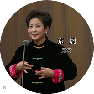 杨门女将 京剧名家演唱会 王艳 马少良 李炳淑