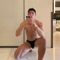 Mens underwear bikini half-pack hip t pants gay with dingy pants Sexy imitation leather alligator tattooer Spice Nightclub