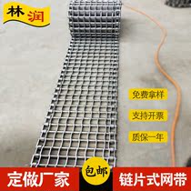 Stainless steel eyewear type mesh with radish cleaner conveyor belt Ning zin Linun 304 customized chain mesh with chain plate