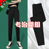 Harem pants womens pants spring and autumn suit cigarette tube casual summer thin ice silk black nine-point chiffon work pants