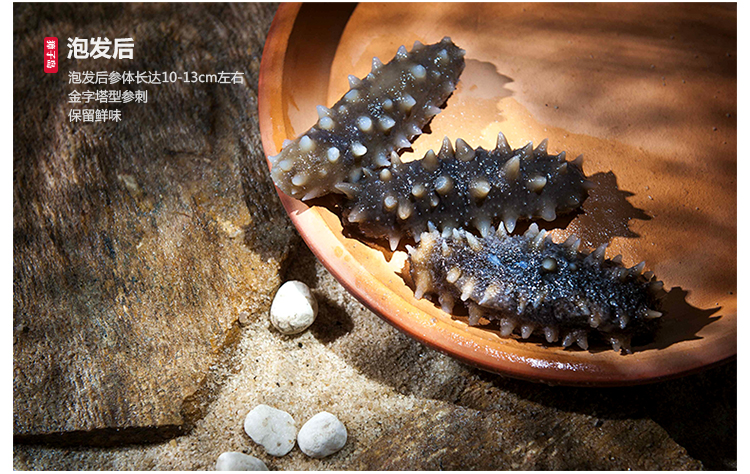 獐子岛海参 大连辽参海刺参 淡干海参 野生有机海参礼盒 御享200g