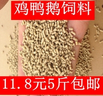 High protein chicken duck goose feed bait fish feed parrot pigeon starling quail bird feed 5 pounds