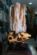 Myanmar tree jade raw stone Wood fossil Silicified wood ornaments Natural strange stone Modeling stone Ornamental stone Town house patron stone