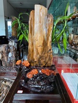 High quality Myanmar tree jade raw stone wood fossil Lucky Town House strange stone Silicified wood Bogu frame modeling stone ornaments