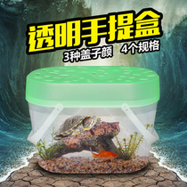 Small Pets Out of suitcases Hamster Cage U Tortoise Box Aquatic Fish Tank Insect travel rearing Climbing Flattering Transport Bottles