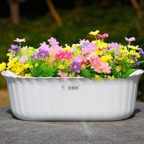 Chandelia hanging flower flower pot thickened hydroponic resin plastic office balcony flower pot thickened hanging wall wall-mounted flowerpot hanging basket