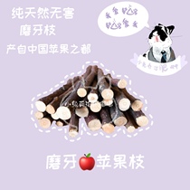 (Little Rabbit George Fat Beep) Pure Harmless Grindroe Apple Branch Rabbit Grinding Tooth Dragon Cat Grindhis Dutch Pig