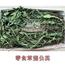 (Little Rabbit George Fat Beep) 2021 Special-grade dandelion dried grass rabbit dragon cat snacks grass 500g