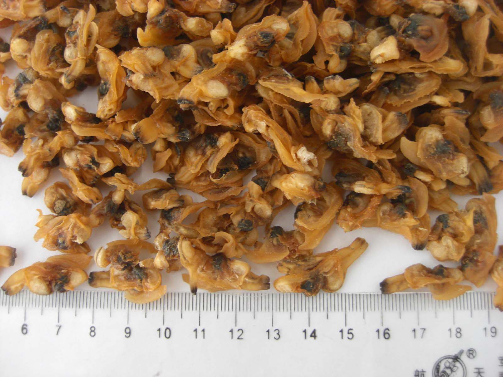 福建连江 花蛤干 蛤蜊肉干 海鲜干货 蚬子干 海产 干货 批发500克