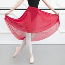 Dance stretch mesh long half-length gauze dress classical dance skirt ballet practice dress adult female teacher dance skirt