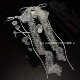 junxinjia h204 화이트 레이스 보우 조개 껍질 술 머리 핀 3 피스 세트 달콤한 신부 보석 junxinjia h204 화이트 레이스 보우 조개 껍질 술 머리 핀 3 피스 세트 달콤한 신부 보석