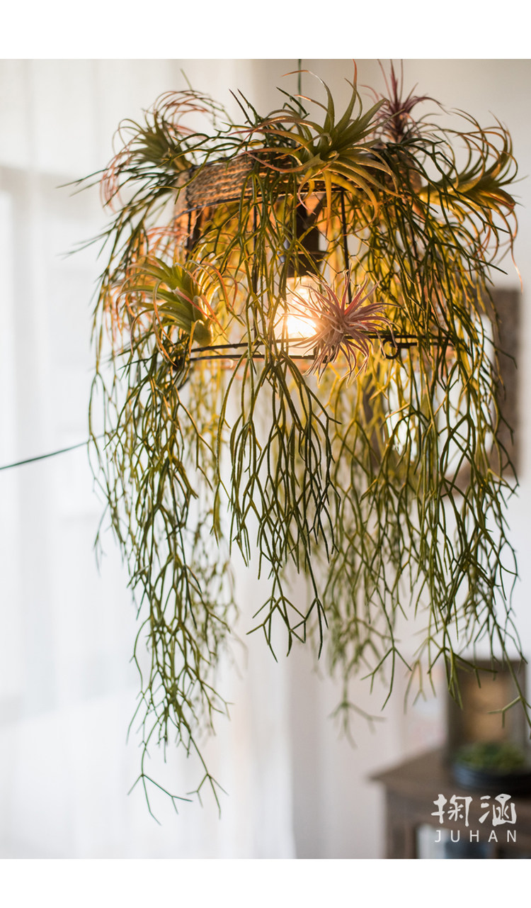 霸王空气凤梨仿真花植物电烫卷steptophylla另类陈列