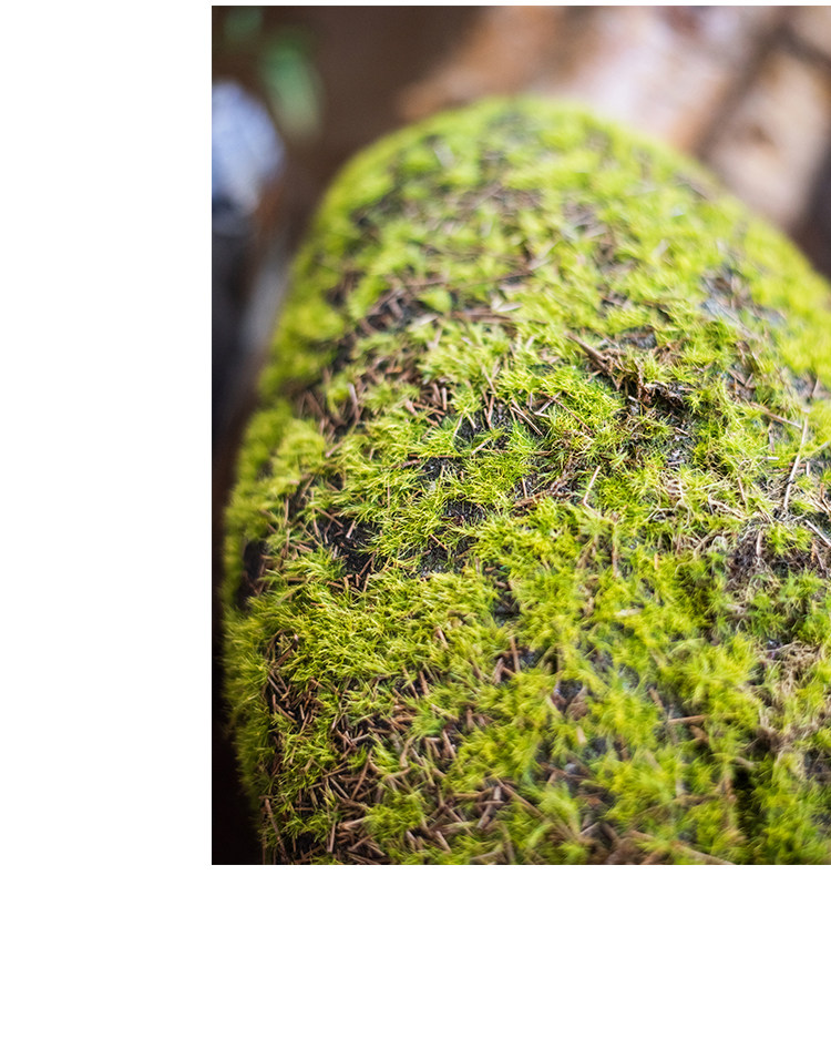 掬涵青苔藓草石头摆件花泥模具插花仿真花艺装饰婚礼造景道具森林