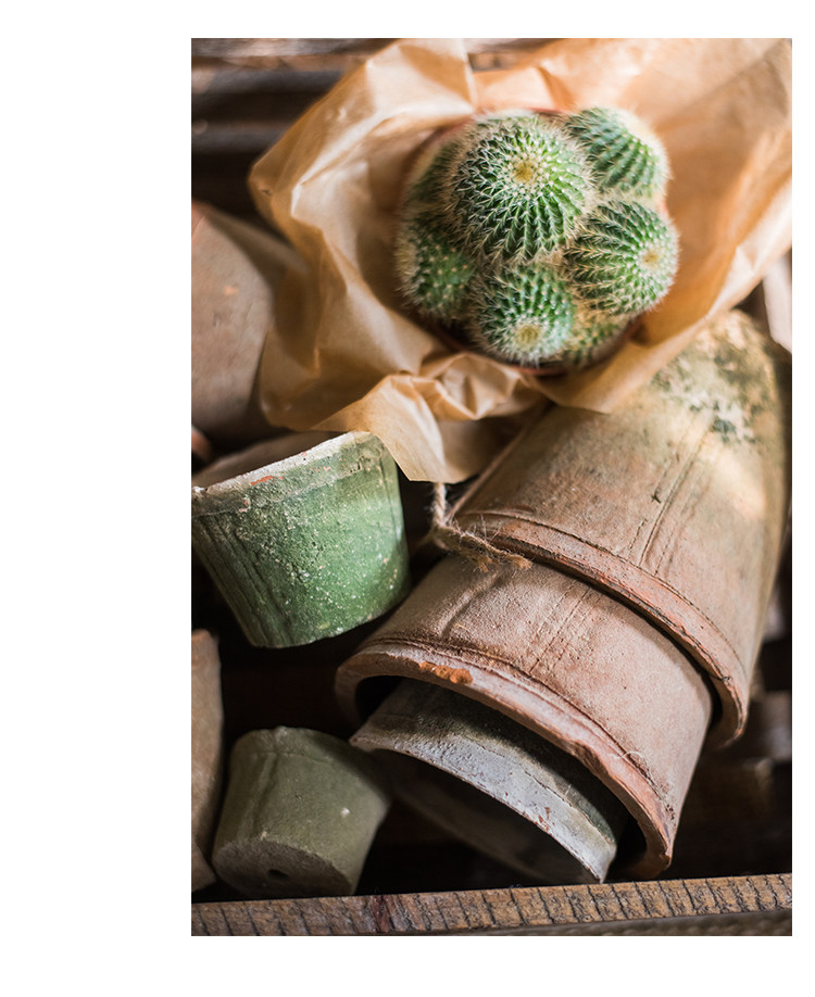 自然生长青苔红陶花盆 素朴日式风格种植器皿杂货花园