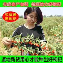 Ningxia red authentic new goods Gouqizi Ningxia wolfberry Zhongning Gouqi male kidney 500g lycium wolfberry disposable