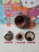 Coconut Shell Bird Nest Large Coconut Shell Peony Tiger Leather Parrot Hamster Golden Silk Bear Pet Breeding Nest Non-Bird Cage