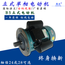 220V vertical motor small household two-phase flange motor single-phase high-power copper wire motor low speed four-stage