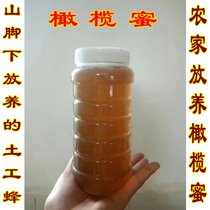 Home-stocking olive honey soil honey at the foot of the mountain Chaoshan specialty non-Kuiyang honey flower nectar 1000g