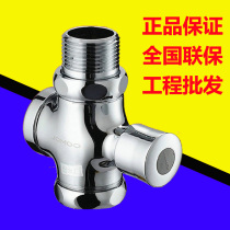Nine-pastoral full copper button type squatting flushing valve hand press type flush valve 8206 8254 X82001-003