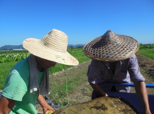 纯手工竹编斗笠帽农民竹帽遮阳防雨防晒舞台表演演出道具竹制品