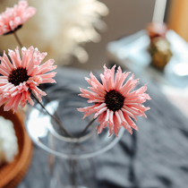 Pink Sun Flower Dry Flowers Ins Nets Red Flowers Bouquet Natural Artisanal Fruit Shell Flowers Inserts Flower Emulation Flower Decoration Little Daisy