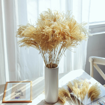 Dust Reed dried flower bouquet hipster restaurant decoration window desktop arrangement props natural real flower golden grass