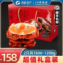 British Bread Crab Seafood Gift Box Gold Crab Treasure Crab Super Large Gift Bag Shuttle crab cooked frozen live frozen