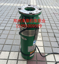 QS water-filled submersible pump Well pump QSP electric agricultural irrigation pump Centrifugal pump High lift large flow