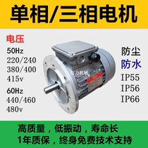 Italy CAKMOTORI single-phase three-phase 220 380 400 415 440 460 480V motor