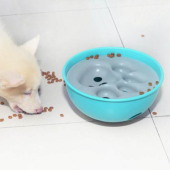 Pet style missing bowl interactive shake bowl cat and dog brain exercise puzzle to relieve boredom and waste time toys
Pet style missing bowl interactive shake bowl cat and dog brain exercise puzzle to relieve boredom and waste time toys