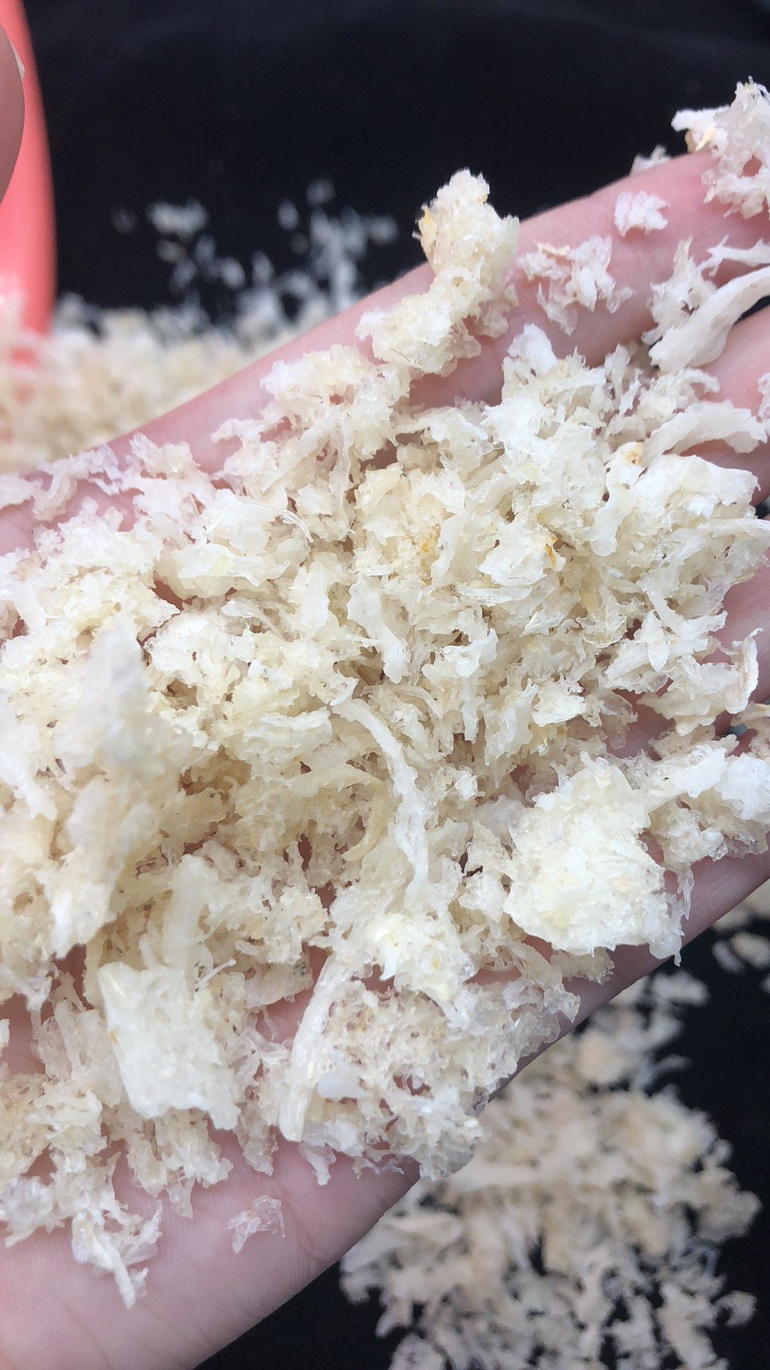 药房售30克包邮马来西亚燕窝燕盏碎肉碎燕角碎燕条碎10克起拍即食